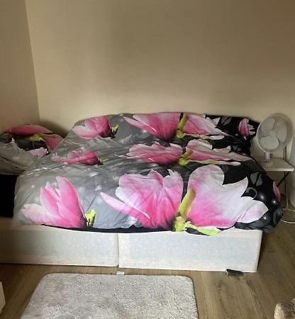 Beautiful Studio Flat Enfield Bagian luar foto