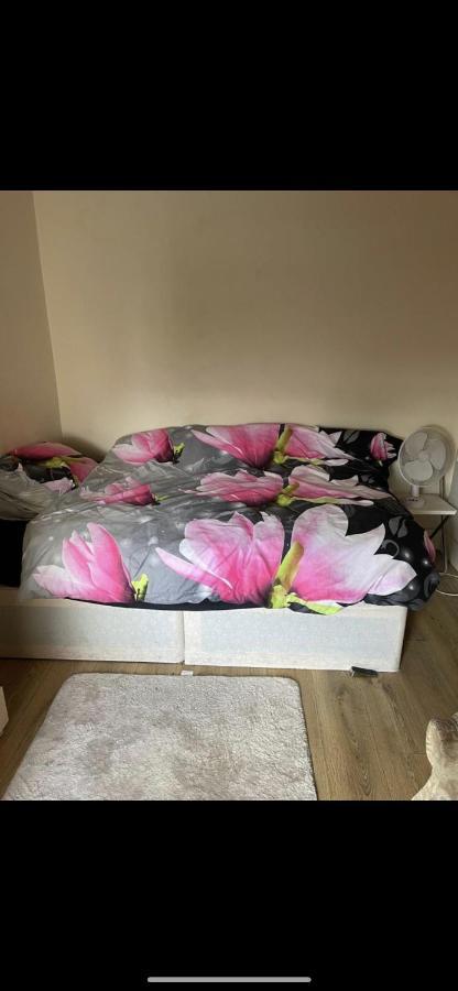Beautiful Studio Flat Enfield Bagian luar foto